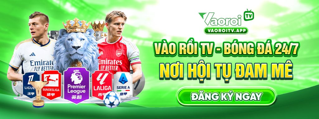 banner vaoroitv